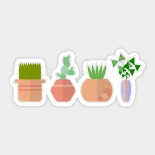 succulent pots Sticker